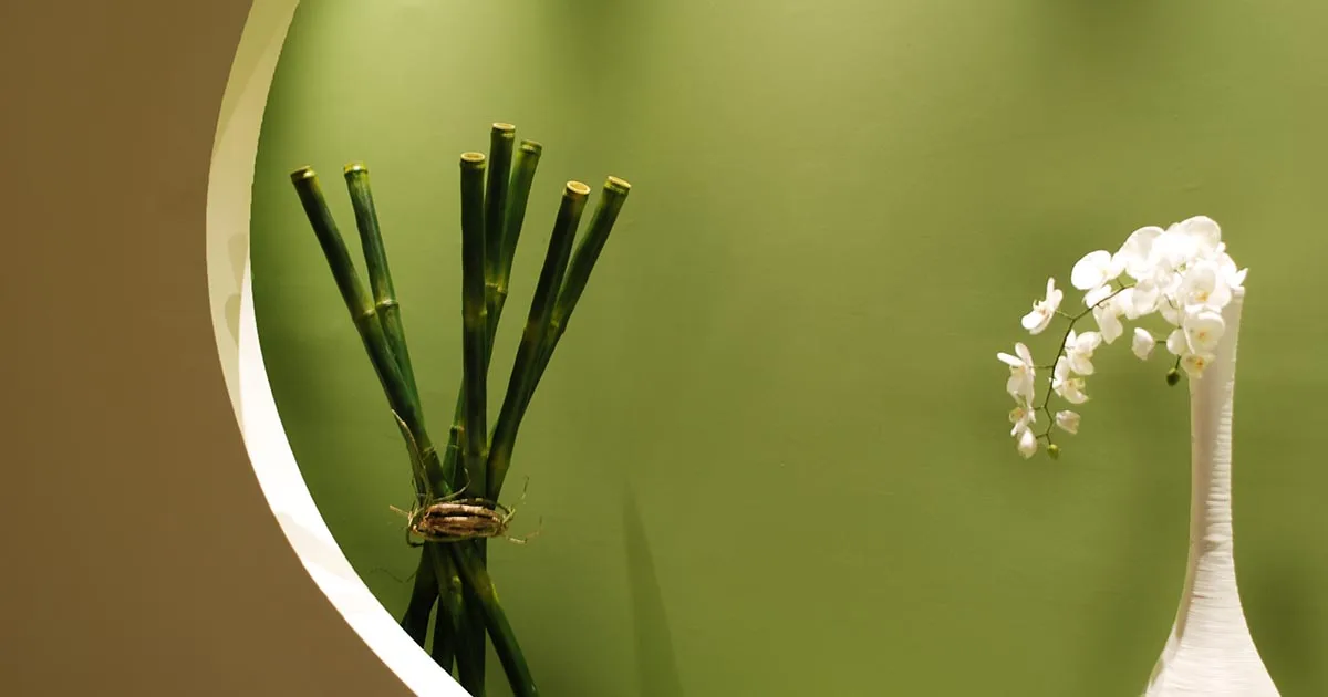 Hippocrates Holistic Spa & Wellness Hotel, Κως