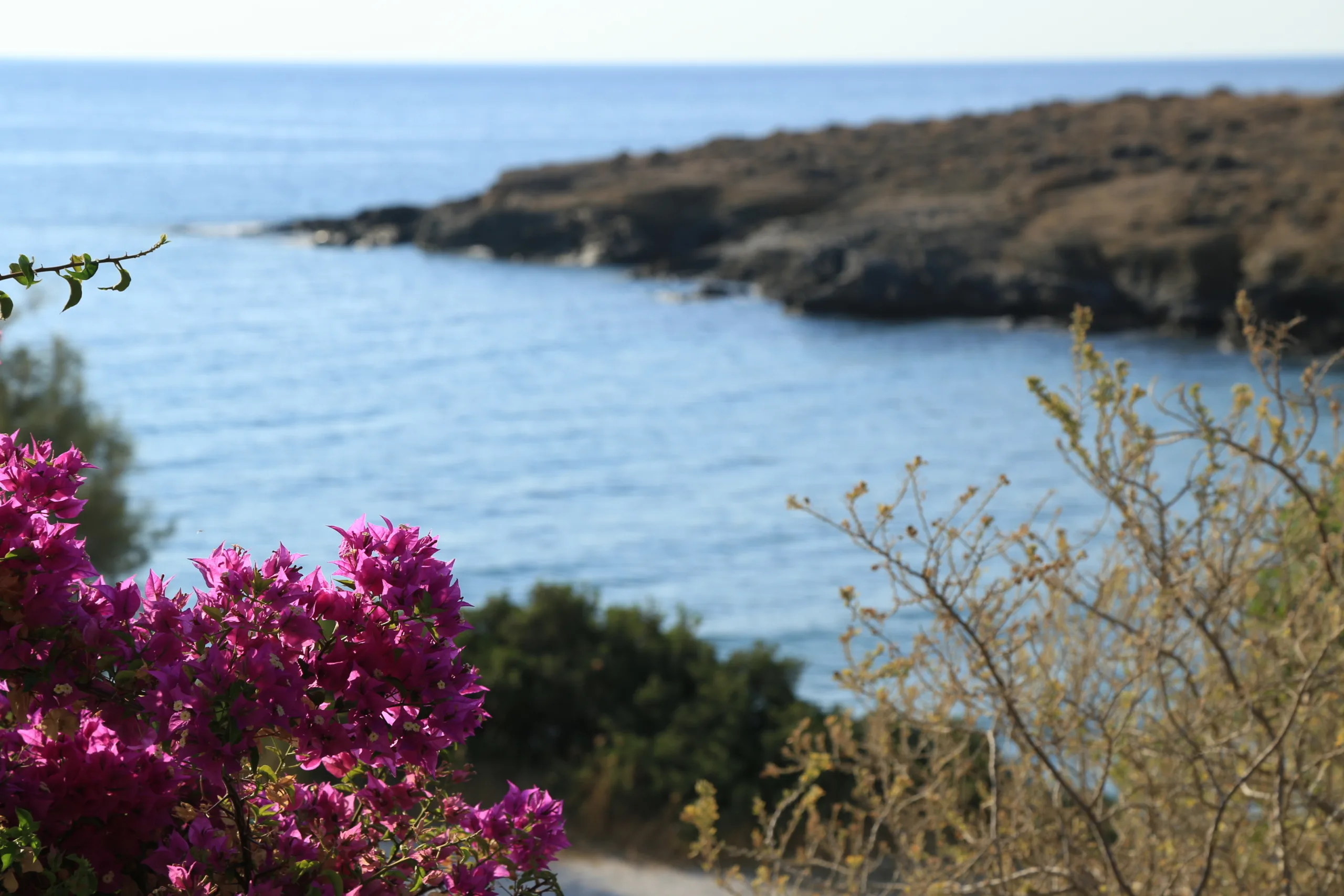 Agerino Studios, Νάξος