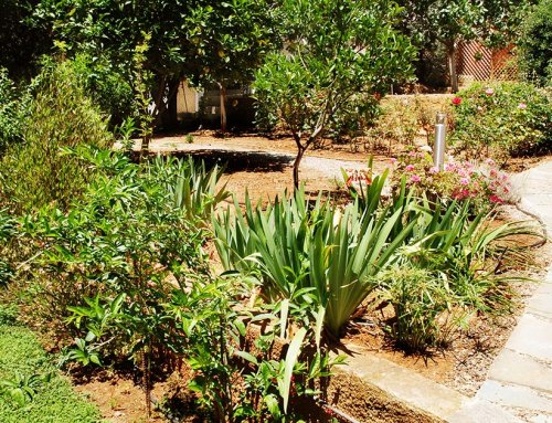 Private Garden in Saronida, East Attica Region